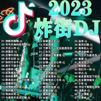 【现货2025新款】【现货速发】2023流行炸街DJ音乐USB新歌中文串烧舞曲上头音乐中文歌曲无损音质MP3音视频优盘【 Quick release in stock 】 2023 Pop Stree