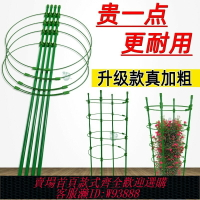 {臺灣公司貨 可打統編}盆栽金錢樹曇花專用花架爬藤支架固定花卉植物的花盆支撐桿架防倒