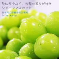 【鮮果日誌】日本岡山縣麝香晴王葡萄(一房)