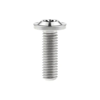 Xingxi Titanium Bolt M8X25 Torx Head P1.25 (Thin) Screw for Motorcycle Forks Parts Fasteners