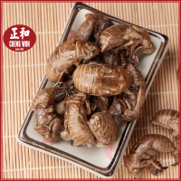 Cicada Shells  Periostracum Cicadae 50g  Wild Cicada Clothes Cicada Retreat Northeast Specialty  Her