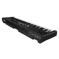 公司貨免運 YAMAHA CK88 88鍵 舞台型鍵盤 數位鋼琴(附贈延音踏板/保養組) [唐尼樂器]