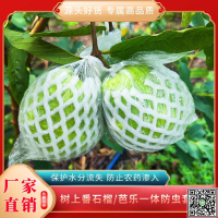 番石榴套袋網袋芭樂防蟲網袋專用一體泡沫包裝袋石榴袋水果網套-UM.有米家居