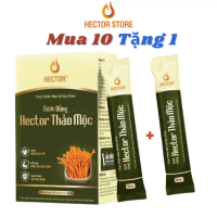 Hector Thảo Mộc Đông Trùng Hạ Thảo Sản phẩm chăm sóc sức khỏe thực phẩm563452