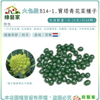 【綠藝家】大包裝B14-1.寶塔青花菜種子0.34克(約60顆)F1，花球優美，鮮綠色，花球寶塔型