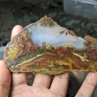 lempengan lumut trenggalek grade A