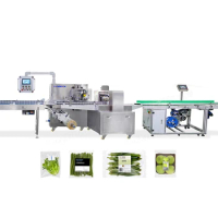 Landpack Horizontal Cucumber Vegetable Carrot Flow Fresh Fruit Frozen Food Pouch Wrapping Machine