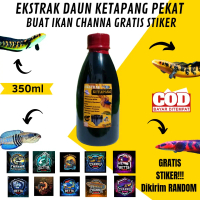 100% Pekat Ekstrak Daun Ketapang 350ml buat Channa