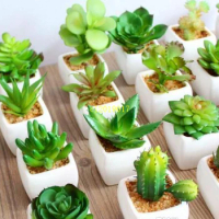 Artificial Potted Plant Portable Mini Simulation Succulents Tropical Cactus Lifelike Fake Flower Vase Bonsai Office Home Deco
