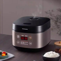 Jiuyang Electric Rice Cooker Household Multifunctional Mini Electric Rice Cooker
