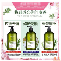 台灣出貨 -正品保證 魔香牛蒡根迷迭香洗髪精 清爽控油 除螨止癢 洗髮水 沐浴露 護髮素 去蟎蟲 洗頭膏 洗髮精500m