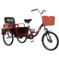 Yjq Elderly Adult Tricycle Pedal Manual Scooter Elderly Tricycle Pick-up