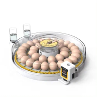 Egg Incubator Dual Power 35 Egg Incubators Chicken Egg Incubator And Hatcher Automatic Hatching Machine
