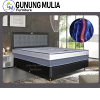 Springbed Smartland New Backbone 160/180