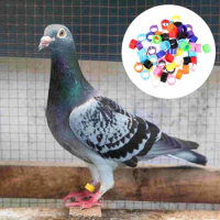 100 Pcs Homing Pigeon Anklet Labels Chicken Legs Plastic Multi-