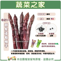 【蔬菜之家】C21-1.甜紫蘆筍種子(共兩種包裝可選)