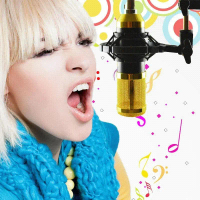 3.5mm PRO Mikrofon MIC Cardioid Rekaman Laptop PC - HITAM EMAS EDITION