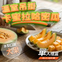 【GOZUII 果姬】苗栗卡蜜拉哈密瓜大果單顆禮盒(脆甜水梨口感｜焦糖尾韻｜2.7斤±10%/顆｜410項農藥未檢出）