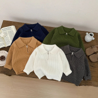 Early spring Korean-style stylish polo collar knit sweater for boys, fashionable spring and autumn b