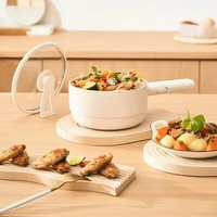 Xiaomi Electric cooking pot dormitory students' household multifunctional - body pot, noodle pot, cooking, electric hot pot