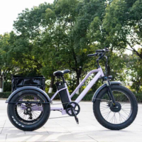 AIMOS 48V 750W three wheel ebike electric tricycles 3 folding cargo trikes fat tire bikes s for adults