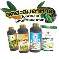 #ชุดสะสมอาหาร ก่อนการออกดอก ใบเพสลาด ( อะมิโนทุเรียน+ซูก้าร์บีท+4-24-24+แมกนีเซียมซัลเฟต ) #ดวงตะวัน