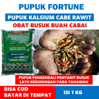 FORTUNE Obat Busuk Buah Cabe, Layu Bakteri Pada Tanaman Cabe Pupuk untuk Buah Cabe Biar Besar - Pupu
