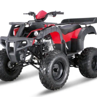 quad atv 4x4 250cc Parts Motor Bull 125CC 150CC ATV chain drive motorcycles