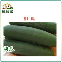 【綠藝家】大包裝G12.胡瓜種子20克(大黃瓜、大胡瓜)