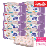 日本LEC 迪士尼抗菌濕紙巾箱購公主大集合60抽X24包入
