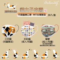 🚚快速出貨🔥 現貨 成人/兒童醫療口罩(30入/盒) MIT台灣製造 英倫風 貓咪 童趣風