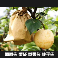 防蟲袋 水果套袋 套梨專用袋子 雙層外黃內黑 黃金梨套袋 桃子防水防蟲保護袋