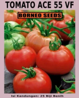 Benih Tomato ACE 55 VF - ACE 55 VF Tomato Seeds