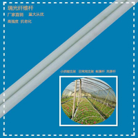 4-5MM多規格100根蔬菜農用小拱棚支架育苗棚玻璃纖維桿玻纖棒