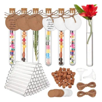 60 Pcs Test Tube With Cork, 16X150mm(20Ml), Plastic Test Tubes With Kraft Paper Tag &amp; jute Rope Funnel