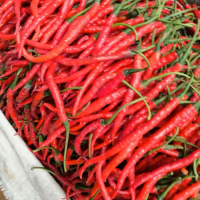 Cabe merah keriting segar 1kg untuk masakan keluarga
