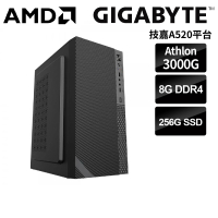技嘉平台 AMD 雙核 {佛洛斯} 文書電腦(Athlon 3000G/B450/8G/256G SSD)