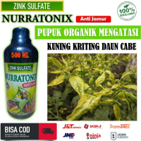 ZINK SULFATE NURRATONIX ANTI JAMUR obat semprot atasi kuning kriting daun cabe - pupuk organik mence