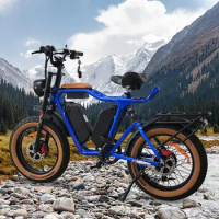 Dual Bafang Motors 48v 1000w 22ah*2 2000w Electric Bike Bicicleta Electrica Motorcycle Fatbike Super73