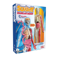 [2美國直購] SmartLab 人體模型組 12吋 生物解剖 兒童啟蒙 立體拼圖 仿真