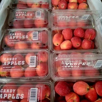 HasilSumberalaM Apel Imut Mini Import Candy Cherry Strawberry Apple Manis Renyah Fresh Buah Segar 50