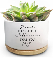 Coworker Thank You Gifts Funny Succulent Plant Pot Flower Cactus Planter Gifts Farewell Going Away A