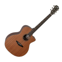 【Veelah】VGACMM 桃花心合版系列 41吋 木吉他(原廠公司貨 商品皆有保固一年)