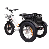 MEIGI fat tyre 20 *4.0 inch beach trike snow trike 3 wheel cargo bike tricycle Utility Bicycle for adults