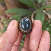 Akik polychrome jasper motif mata ikan