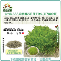【綠藝家】大包裝A68.綠麒麟萵苣種子9克(約7800顆)