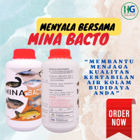 MINA BACTO megandung komunitas bakteri yang menguntungkan (Bacillus subtilis) dan sangat cocok untuk