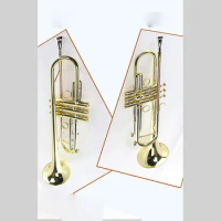 High quality trumpet MTR-300G Bb B flat trumpet instrument with hard case, mouthpiece, cloth and gloves
