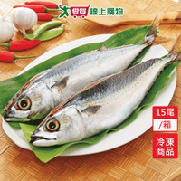 台灣南方澳鹹鯖魚15尾/箱【愛買冷凍】