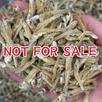 1kg Ikan Bilis Langkawi Gred 4A Size S Dried Food